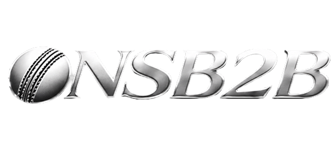 ONSB2B logo